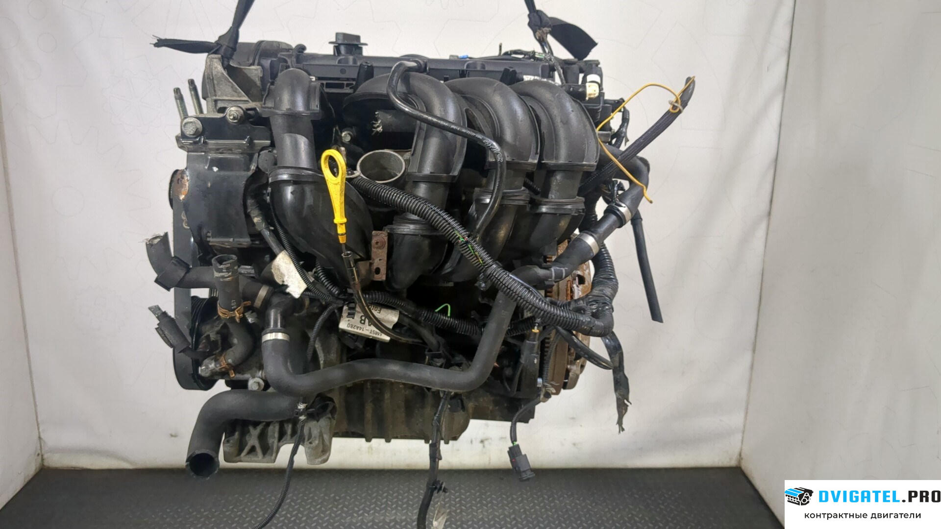 Двигатель Ford Focus 2 2005 - 2008 SHDA 1.6 л., Бензин, HPDC Инжектор, артикул 9179324