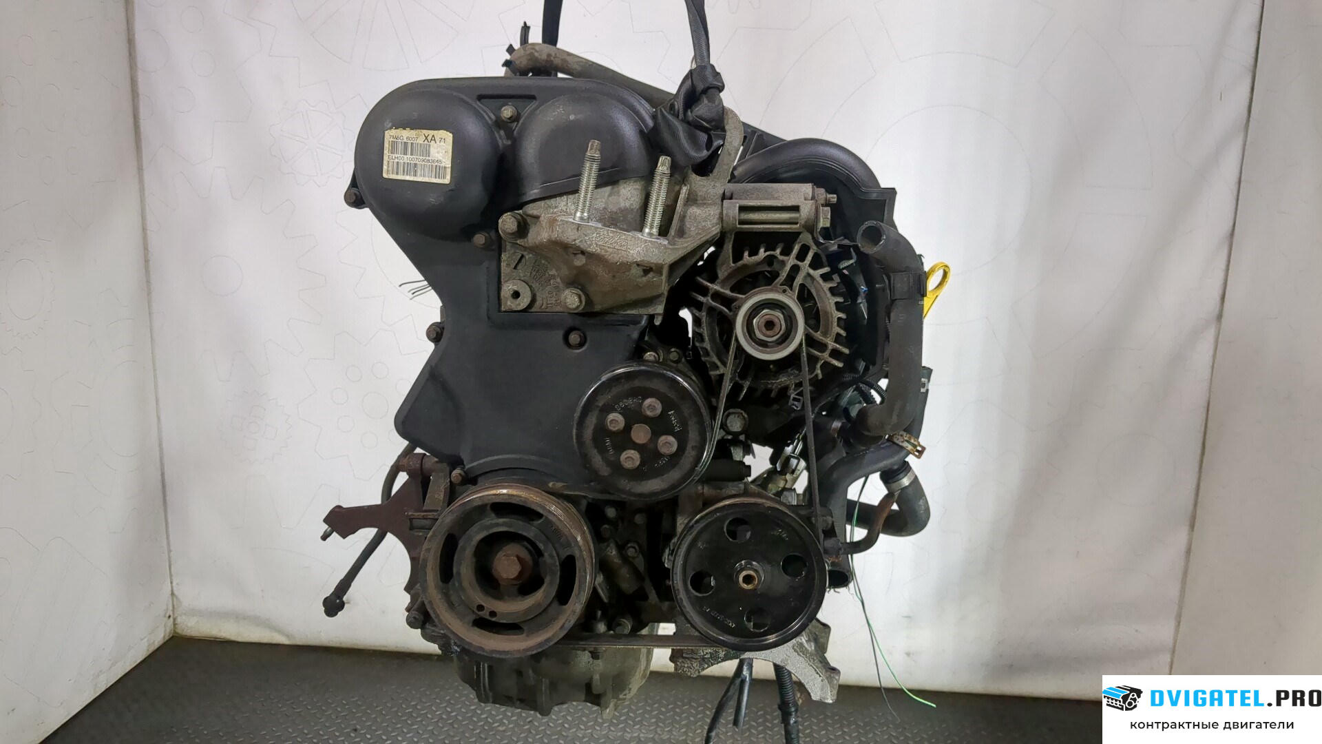Двигатель Ford Focus 2 2008 - 2011 SHDA, SHDC 1.6 л., Бензин, Инжектор, артикул 9163931