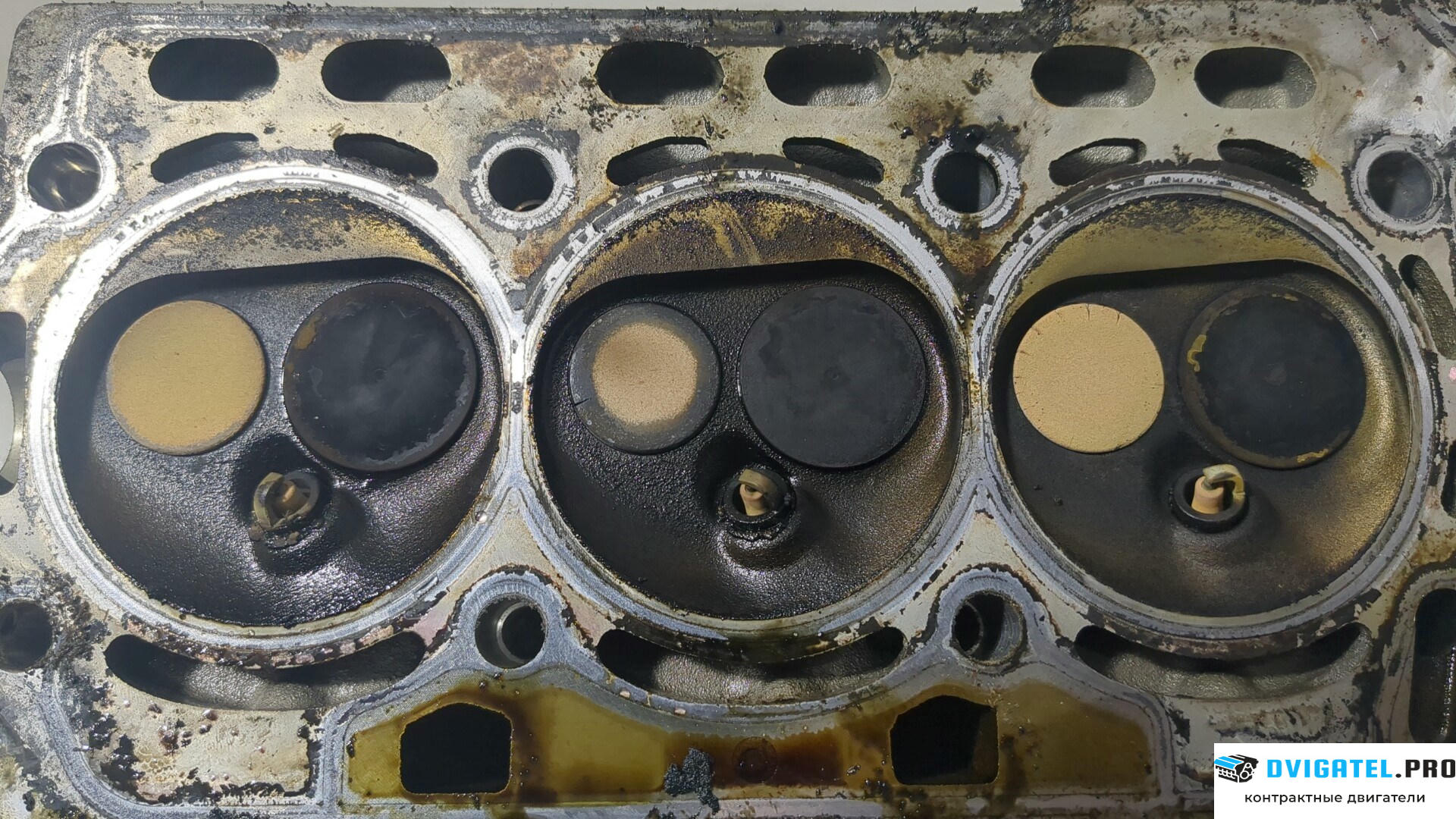 Головка блока цилиндров (ГБЦ) Volkswagen Polo 2001 - 2005 BMD 1.2 л., Бензин, Инжектор, артикул 8722173