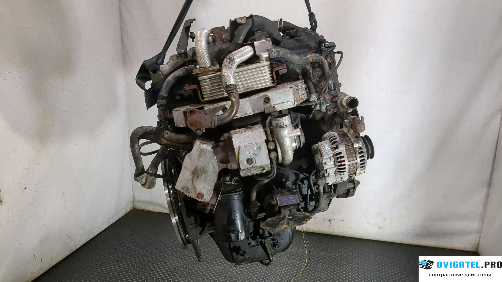Двигатель Mitsubishi Pajero / Montero 2000 - 2006 4M41 3.2 л., Дизель, Турбо, артикул 9281376