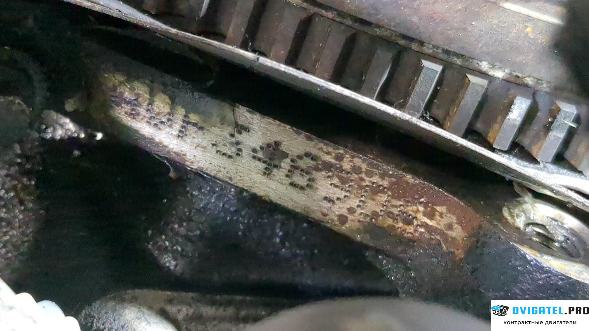 Двигатель Audi A6 C5 1997 - 2004 AVF 1.9 л., Дизель, TDI, артикул 9283314