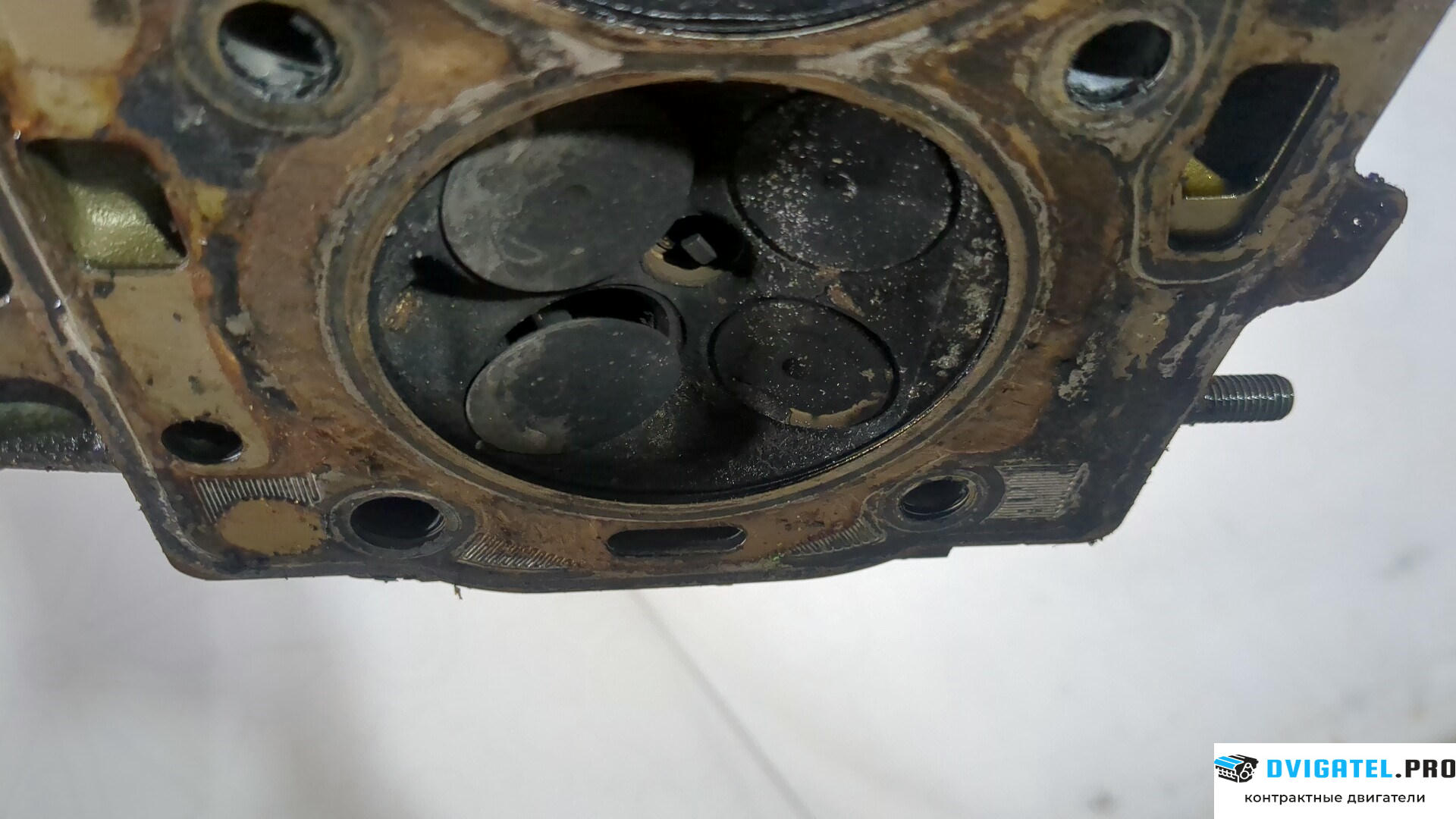 Головка блока цилиндров (ГБЦ) Volkswagen Golf 6 2009 - 2012 CAXA 1.4 л., Бензин, TSI, артикул 8933648