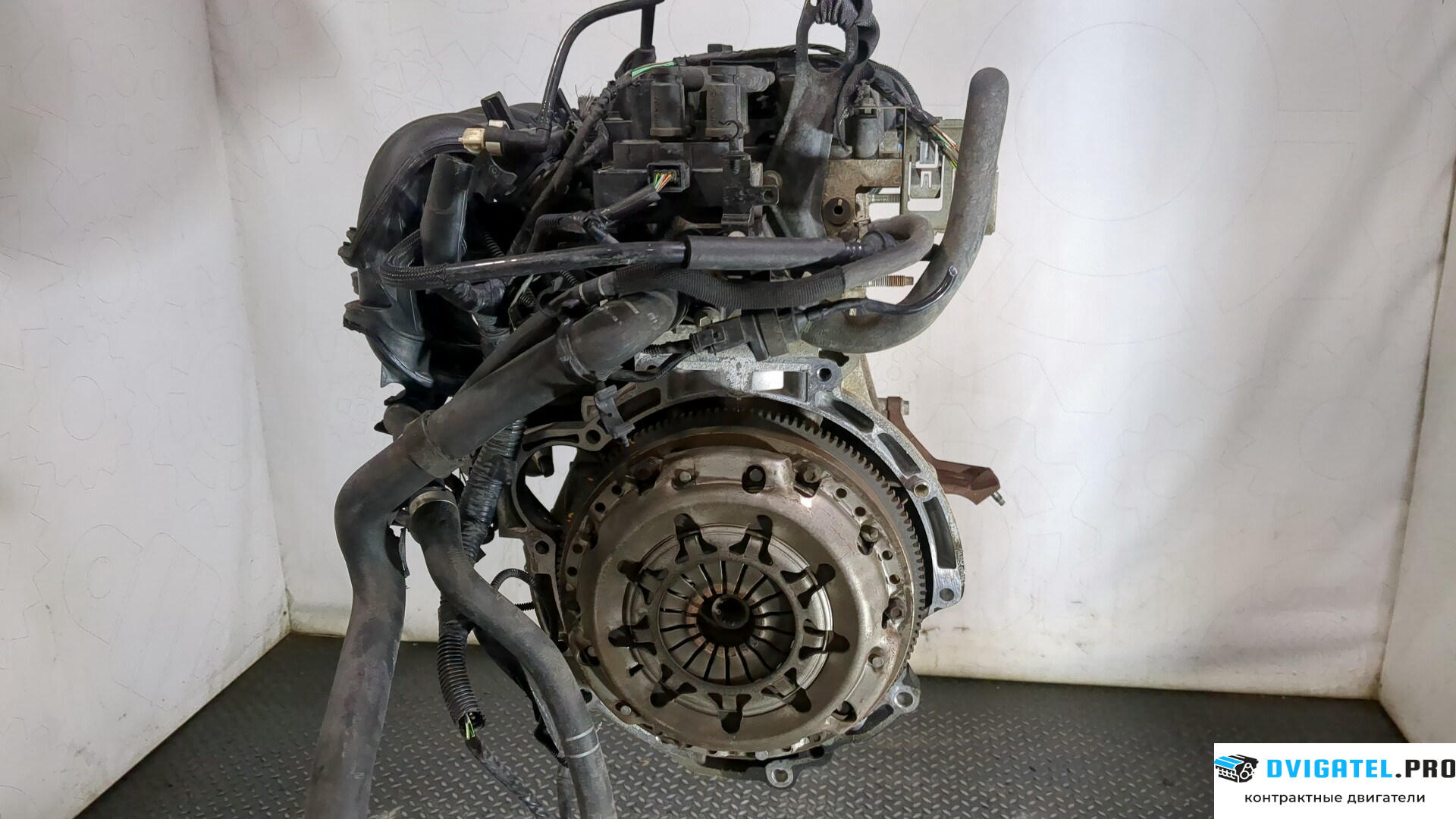 Двигатель Ford Focus 2 2008 - 2011 SHDA, SHDC 1.6 л., Бензин, Инжектор, артикул 9283360