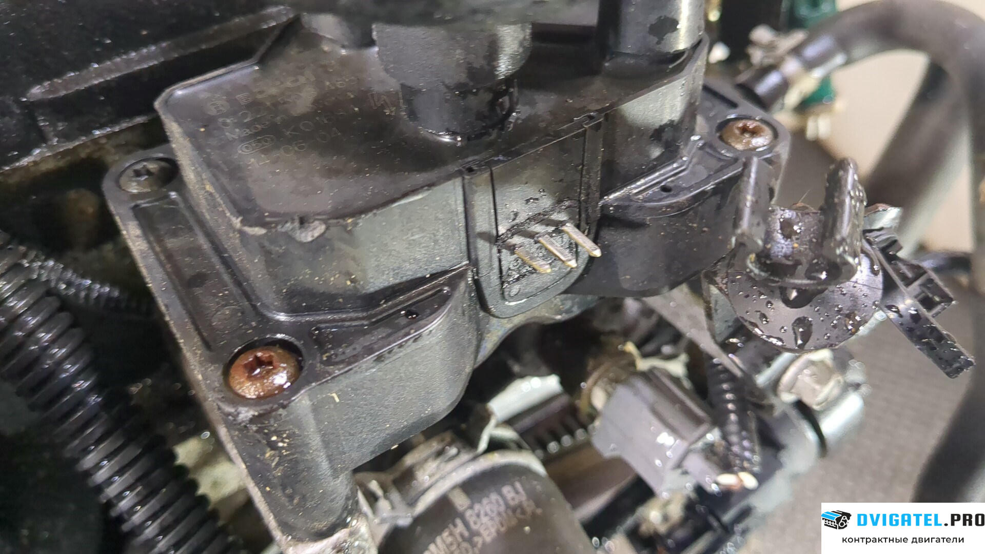 Двигатель Ford Focus 2 2005 - 2008 HXDA, HXDB 1.6 л., Бензин, Ti-VCT, артикул 8793784
