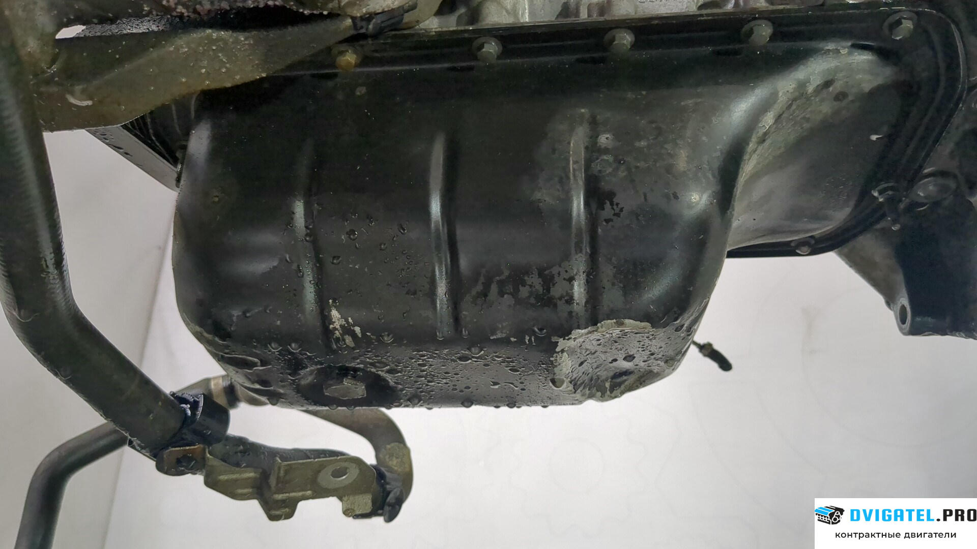 Двигатель Ford Focus 3 2011 - 2015 NGDA, NGDB 1.6 л., Дизель, TDCI, артикул 8880103