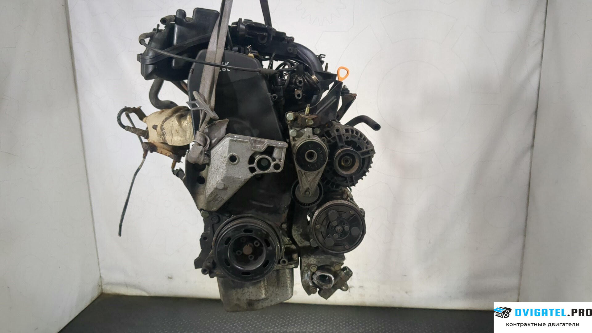 Двигатель Volkswagen Golf 4 1997 - 2005 AKL 1.6 л., Бензин, Инжектор, артикул 8987512