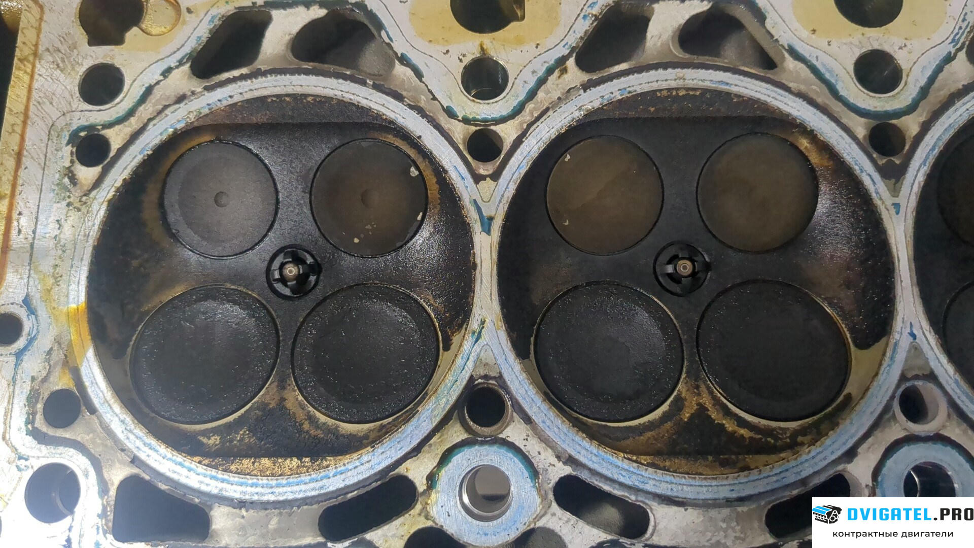 Головка блока цилиндров (ГБЦ) BMW 6 E63 2004 - 2007 N62 B44A 4.4 л., Бензин, Инжектор, артикул 9209449